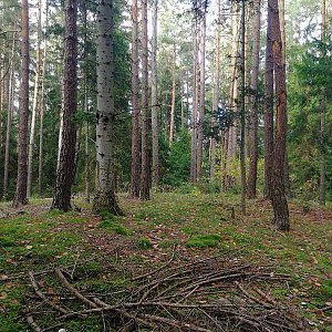 Vladimír Grančay na vrcholu Na Kamenici - SV vrchol (16.10.2022 15:42)