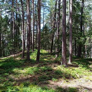 Vladimír Grančay na vrcholu U Sloupů (10.7.2022 12:58)