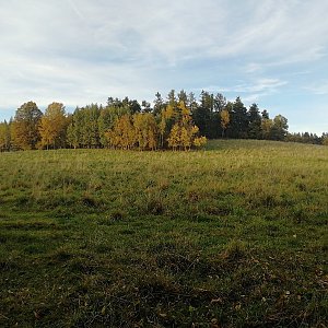 Vladimír Grančay na vrcholu Loužka - SV vrchol (17.10.2022 17:25)