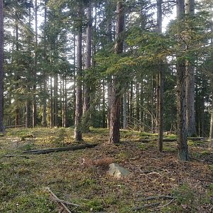 Vladimír Grančay na vrcholu Za Horou - V vrchol (31.10.2022 15:30)