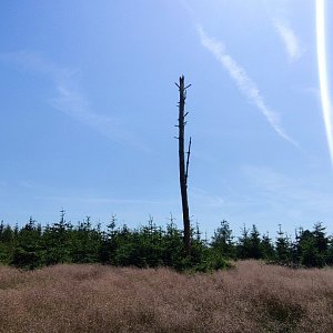 michalzhor on the summit of Šebeň (18.6.2022 11:46)