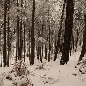 Bouřka na vrcholu Brloh (29.1.2023 15:57)