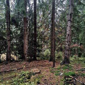 Šárka na vrcholu Korčula (5.11.2022 13:07)