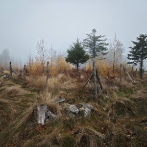michalzhor on the summit of Samotín (15.11.2025 13:33)
