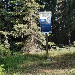 ZdenkaV na vrcholu Hinterer Kegelberg (14.6.2022)