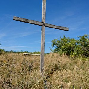 Nojby on the summit of Kořínka (21.6.2022 14:57)