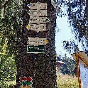 Arni na vrcholu Sulov (7.8.2020 14:07)