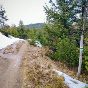 Šárka na vrcholu Gawlasi J (15.3.2026 15:31)