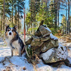Jiří Králík on the summit of Studničná (23.11.2025 13:21)