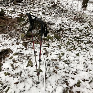 Radka D na vrcholu Javorníček V vrchol (20.11.2022 11:28)