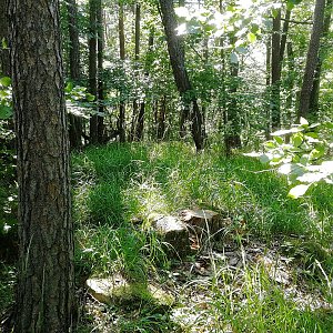 Vladimír Grančay na vrcholu Zámek (26.6.2022 16:43)