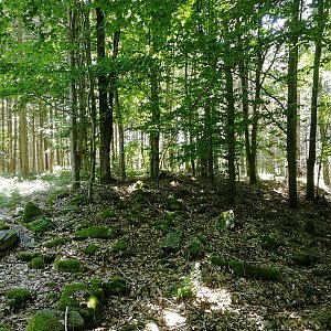 Šumavské podhůří