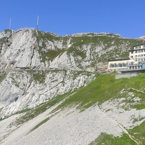 Pepino na vrcholu Tomlishorn (23.8.2024 10:56)