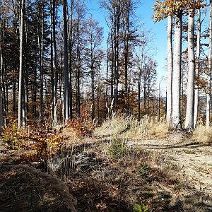 ZdenkaV na vrcholu Cikán (18.10.2022 14:02)