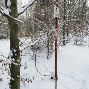 Šárka na vrcholu Obora (22.11.2024 13:54)