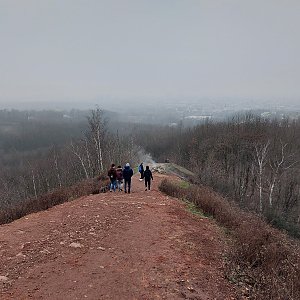 Evík na vrcholu Halda Ema (5.2.2021 16:10)