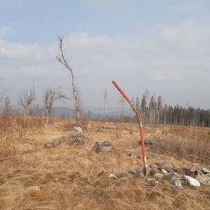ZdenkaV on the summit of Brdo (29.3.2025 14:46)