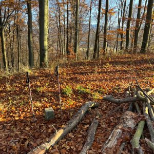 Radka D na vrcholu Strážník (8.11.2025 8:17)