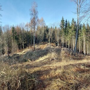 Bohumír Michal na vrcholu Bukový kopec (27.12.2023 13:35)