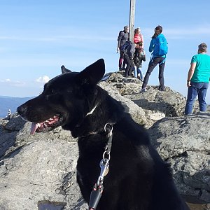 Martin Mares on the summit of Großer Arber / Velký Javor (2.10.2021 15:36)