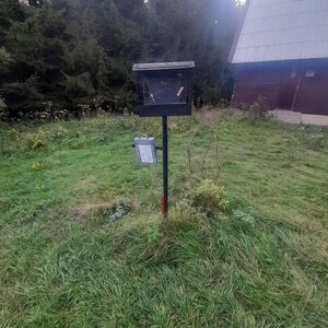 Milton na vrcholu Suchý vrch (11.9.2024 14:41)