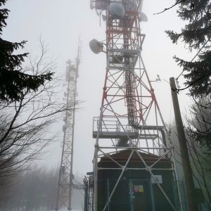 Šárka na vrcholu Suchý vrch (30.1.2025 10:45)