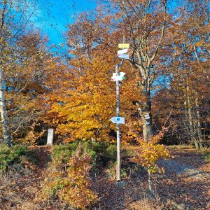Roman Skácel on the summit of Soszów Wielki - rozcestí (25.10.2024 7:53)
