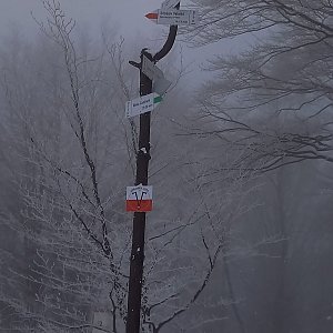 Kerez Králová na vrcholu Soszów Wielki - rozcestí (6.2.2021 13:17)