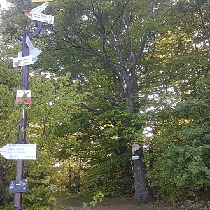 JezMax na vrcholu Soszów Wielki (15.5.2022 18:04)