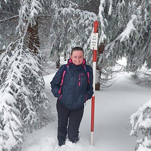 Evík na vrcholu Kobylanka (19.3.2021 14:35)