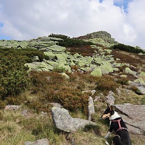 Manjula na vrcholu Śmielec (14.9.2021 11:59)