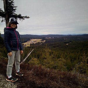 Mory on the summit of Eichelberg SV (10.2.2024 13:22)