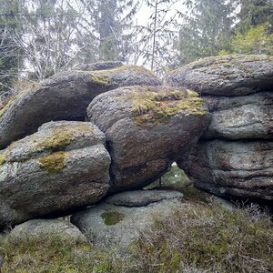Mory on the summit of Helbergstein (10.2.2024 12:50)