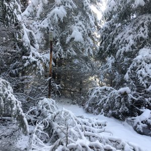 Kuba Ž. na vrcholu Obrovec (17.11.2023 12:57)