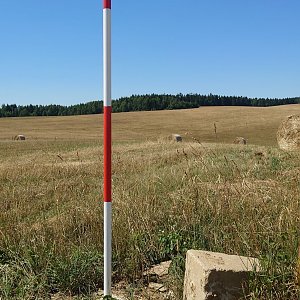 Nojby on the summit of Bažantnice (19.7.2022 15:03)