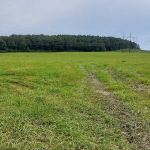 Mykas na vrcholu Bučina (22.8.2024 9:07)