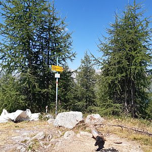 ZdenkaV on the summit of Büelenberg (22.7.2022)
