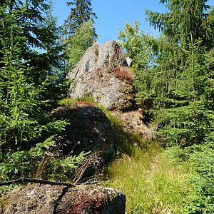 Nojby na vrcholu Skaliny (28.7.2022 11:40)