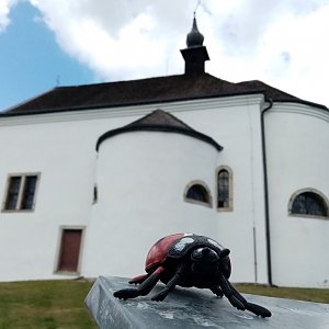 Jiřina on the summit of St. Joachim (31.7.2022 12:50)