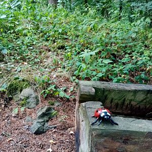 Jiřina na vrcholu Hora (31.7.2022 12:25)