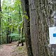 Jiřina na vrcholu Baradla-tető (25.9.2022)