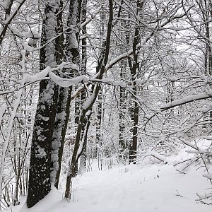Anežka Boříková na vrcholu Na Rejtě (22.1.2023 13:04)