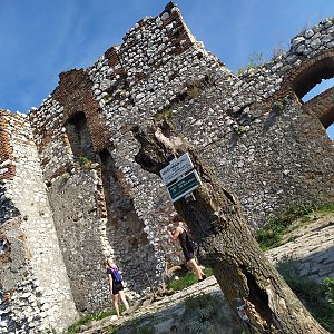 Baruš na vrcholu Děvín (11.9.2021 19:00)