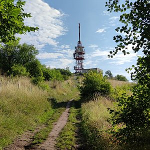 Martin Palin na vrcholu Děvín (11.8.2021 8:24)