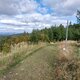 Mykas na vrcholu Malý Javorník SV (12.10.2024 15:09)