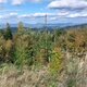 Mykas na vrcholu Malý Javorník SV