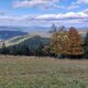 Mykas na vrcholu Kohútka Z