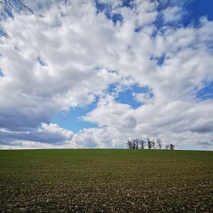 Jiří Králík na vrcholu Baškovec (10.4.2022 14:40)