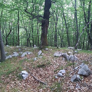 ZdenkaV on the summit of Veliko Čelo (8.8.2022)