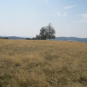 ZdenkaV on the summit of Kňourek (31.7.2026 12:50)